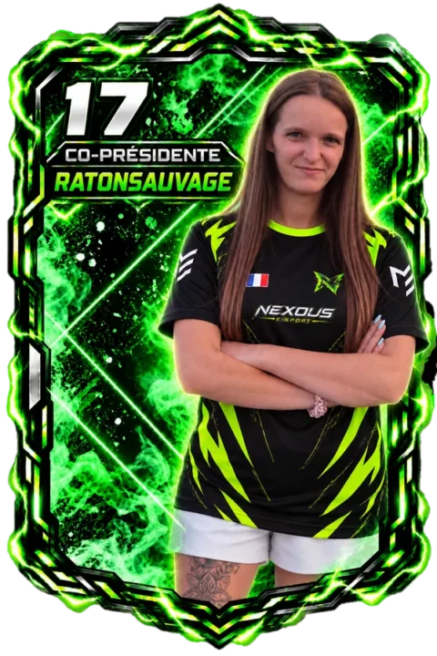 Carte de RatonSauvage