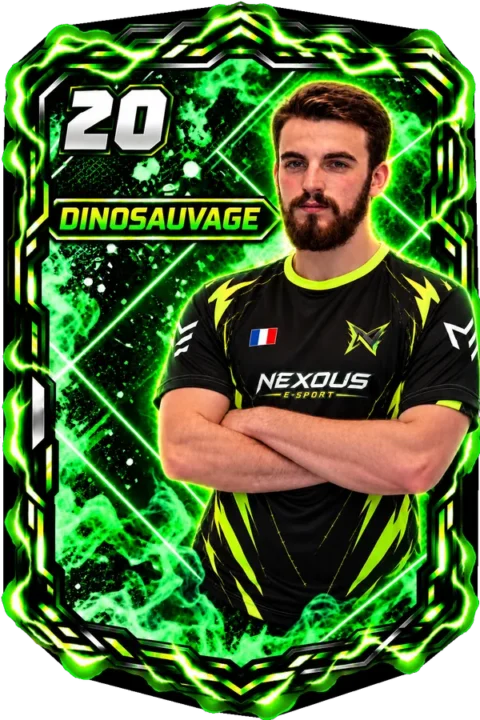 Carte de DinoSauvage