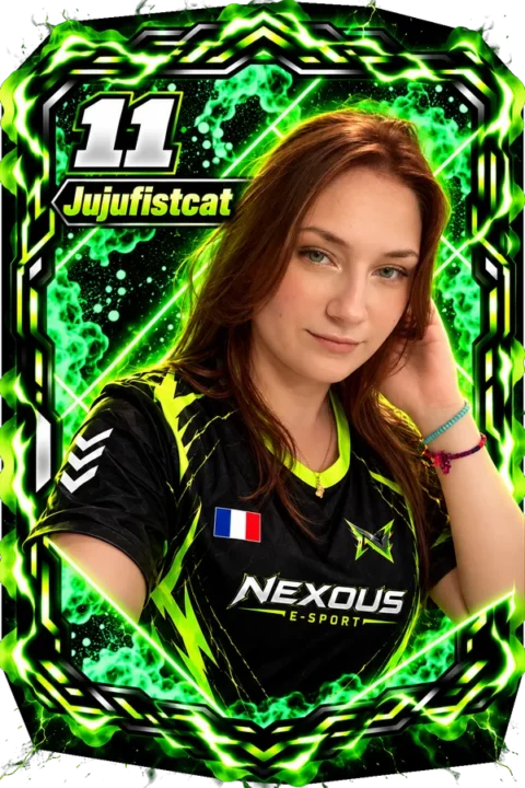 Carte de Jujufistcat