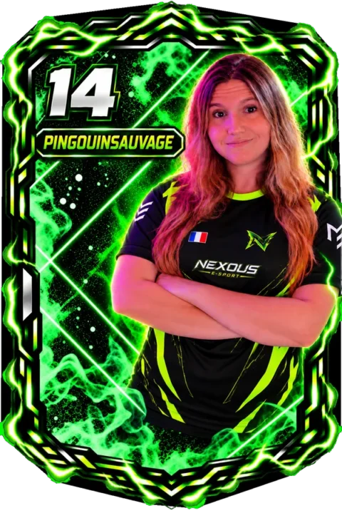Carte de PingouinSauvage